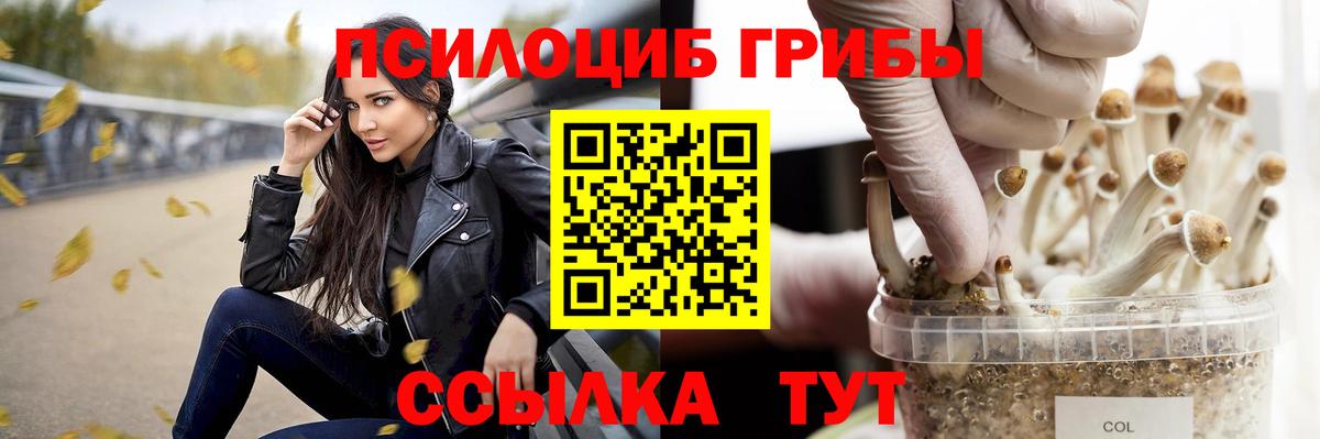 Галлюциногенные грибы Psilocybe Лосино-Петровский